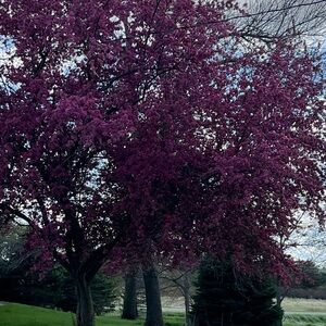 Meet your Posher, Teresa